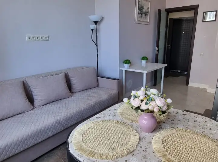 Однокомнатная квартира на Ленина ул. Ленина, д. 288