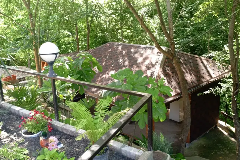 gallery_photo
