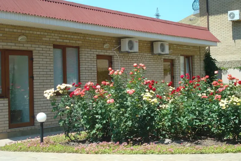 gallery_photo