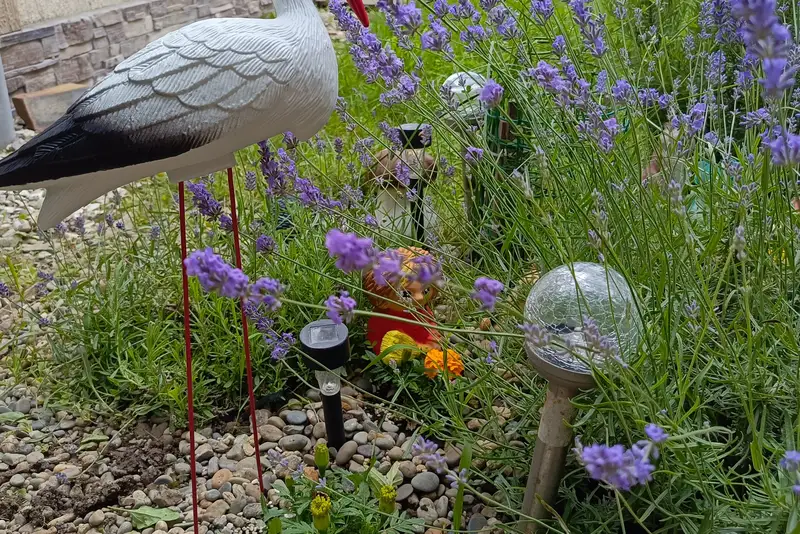 Гостевой дом «МысДома» ул. Встречная, д. 23 «А»
