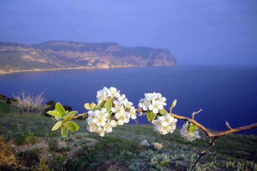 Крым в марте. Фото: gas-kvas.com