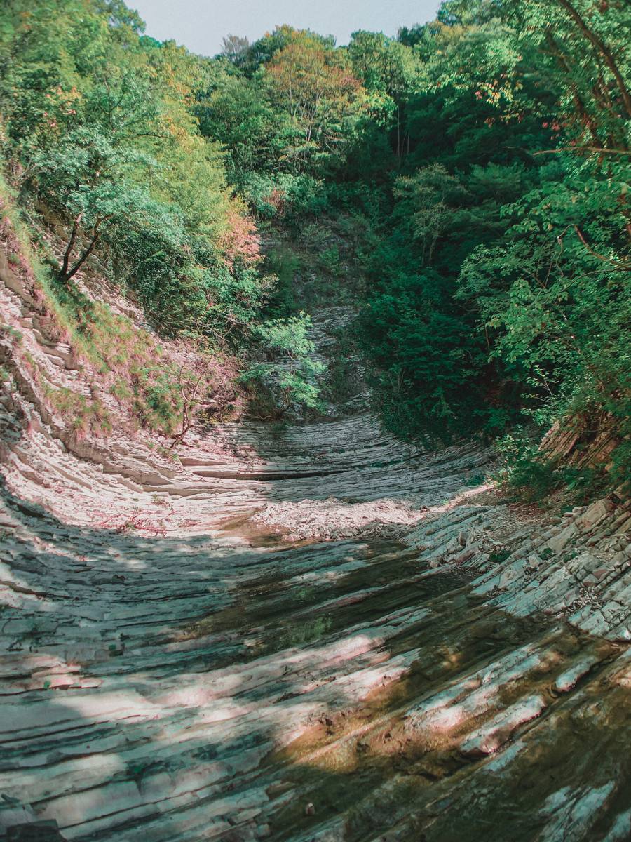 Дорога к Пшадским водопадам. Источник:&nbsp;unsplash.com