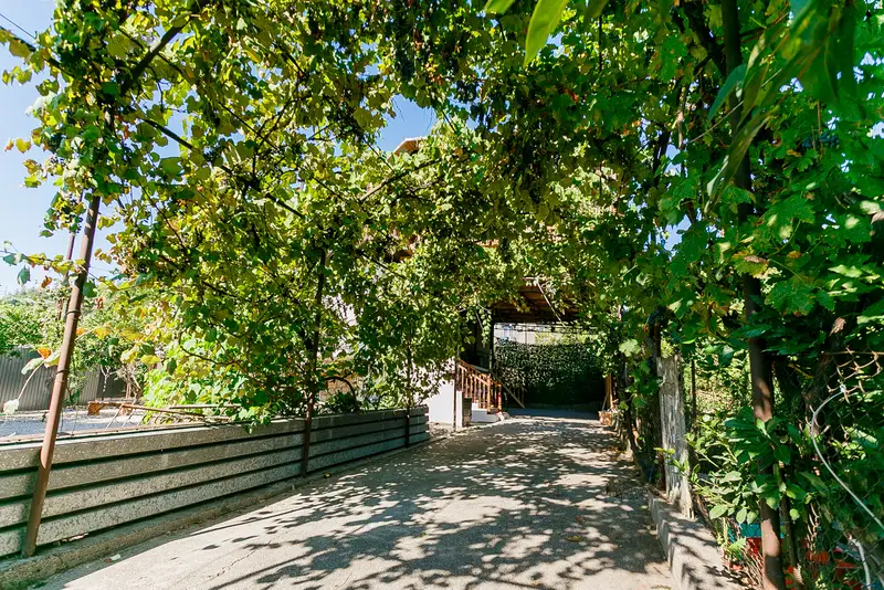 gallery_photo