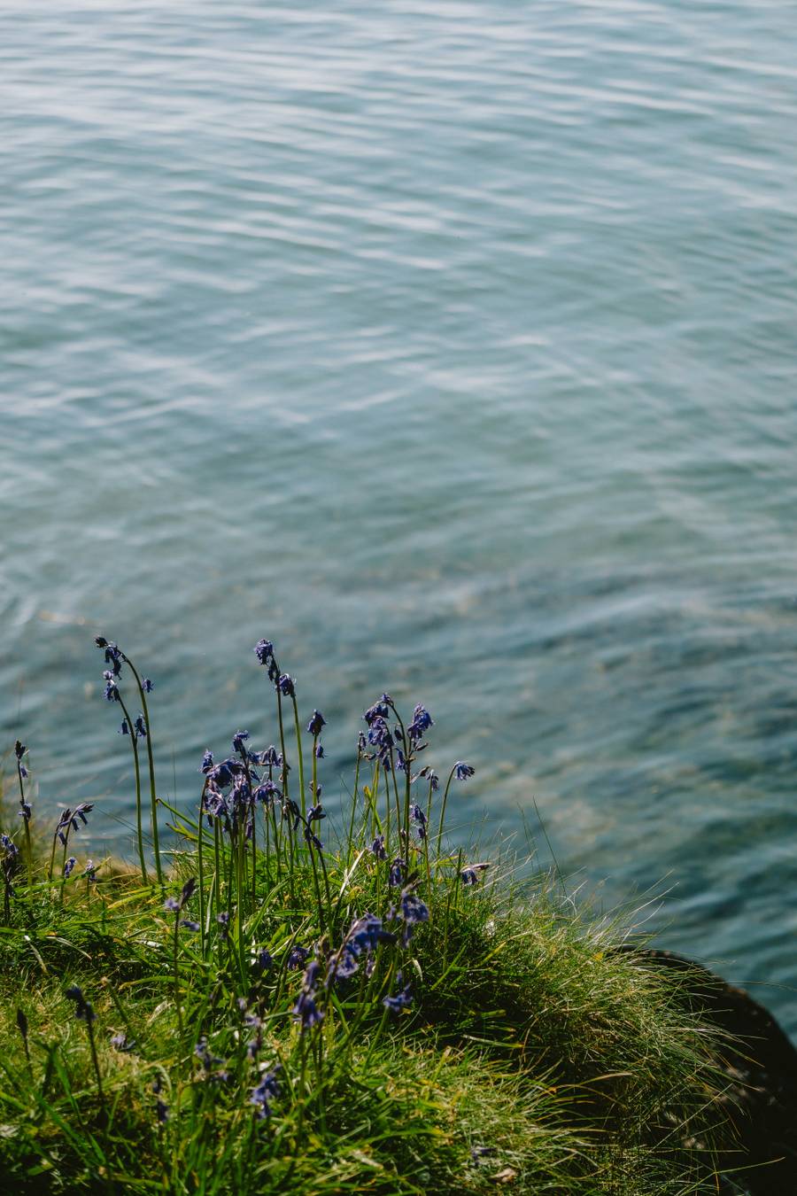 Весеннее море в Абхазии еще не годится для купания. Источник:&nbsp;unsplash.com