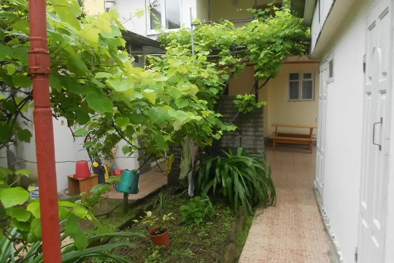 gallery_photo