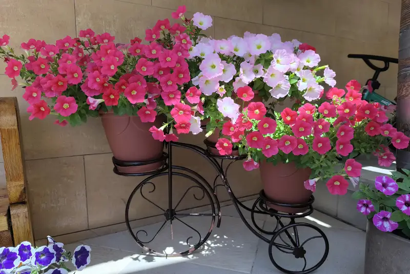 gallery_photo