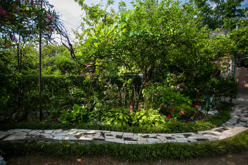 gallery_photo