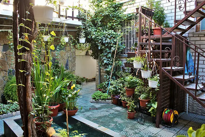 gallery_photo