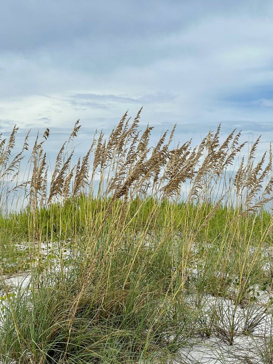 Местные пейзажи невероятно живописны. Источник:&nbsp;unsplash.com