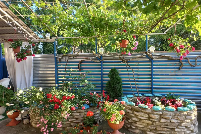 gallery_photo