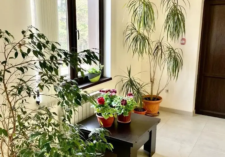 Гостевой дом «Алексина» ул. Лазарева, д. 11