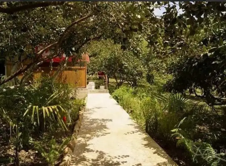 gallery_photo