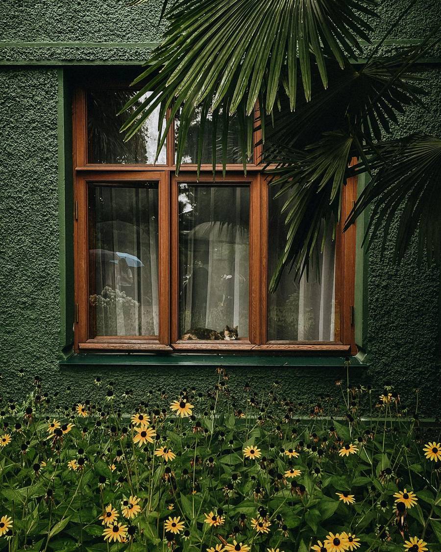 Окно на Даче Сталина. Источник:&nbsp;pexels.com