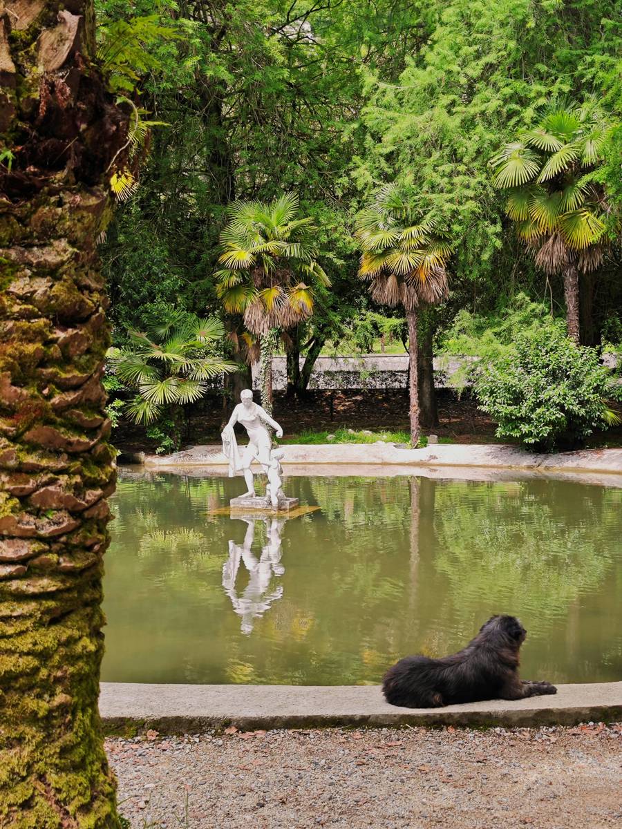 Чудесная Гагра. Источник:&nbsp;unsplash.com