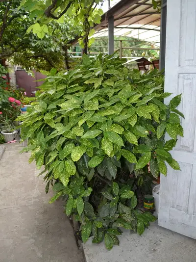 gallery_photo