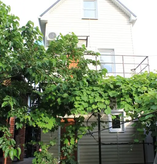 gallery_photo
