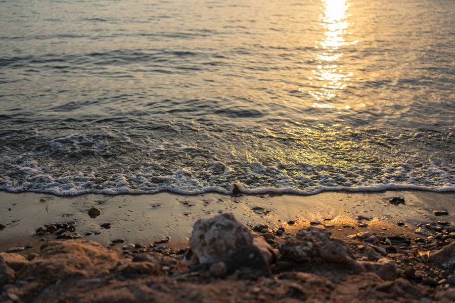 Начиная с конца мая вода в акватории поселка прогревается до комфортных температур.&nbsp;Источник: unsplash.com