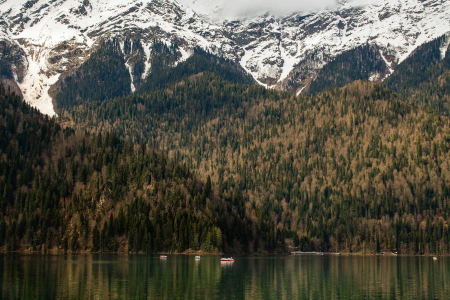 Тихая прелесть Рицы. Источник:&nbsp;unsplash.com
