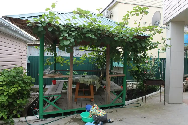 gallery_photo