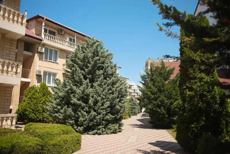 gallery_photo