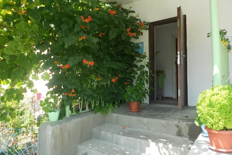 gallery_photo