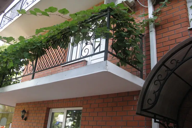 gallery_photo
