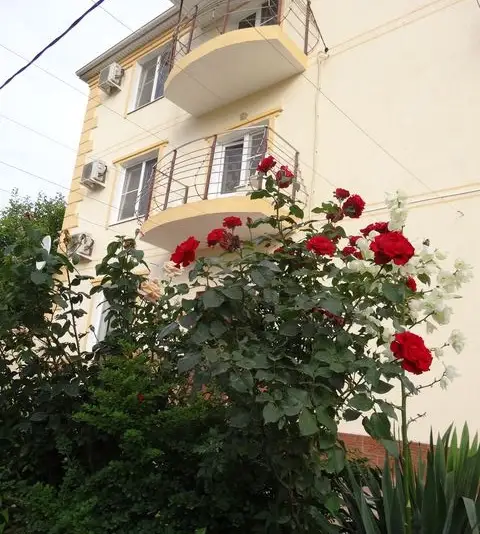 gallery_photo