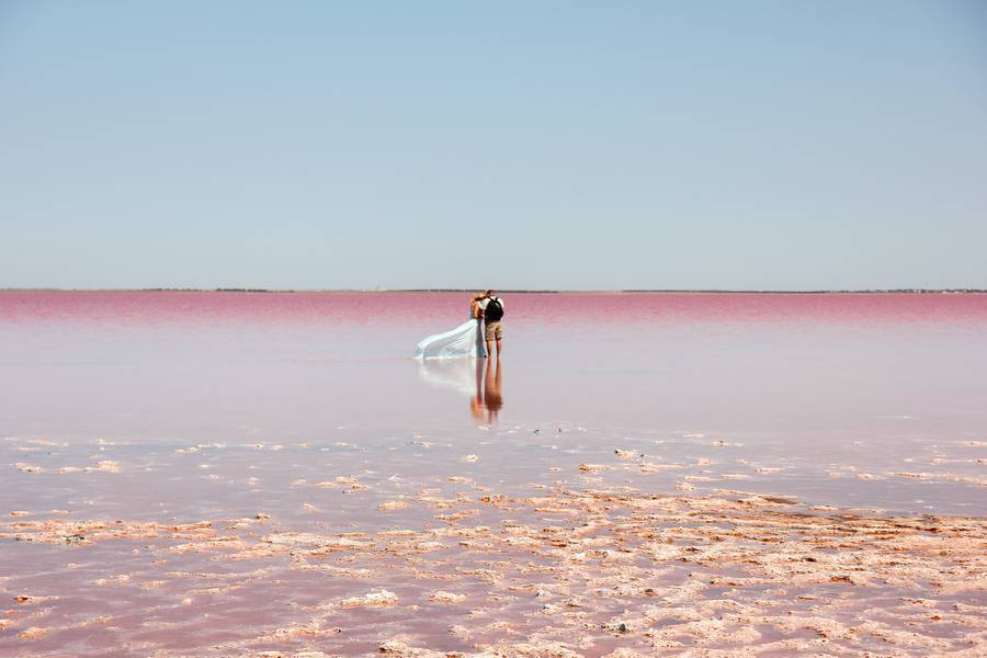 Невероятные розовые просторы озера Сасык-Сиваш. Фото из архива автора