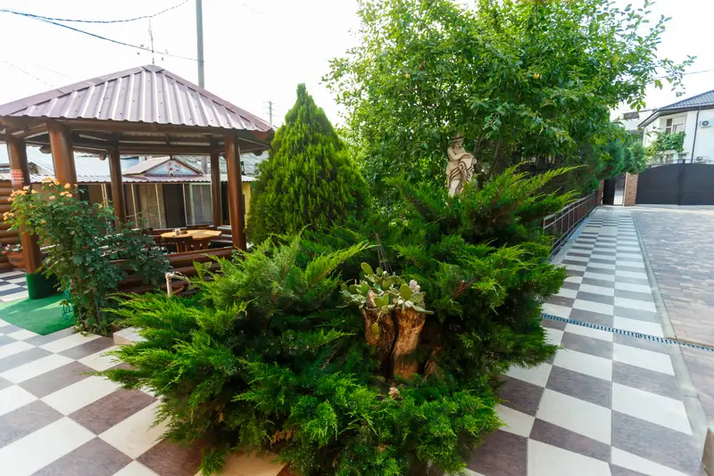 gallery_photo