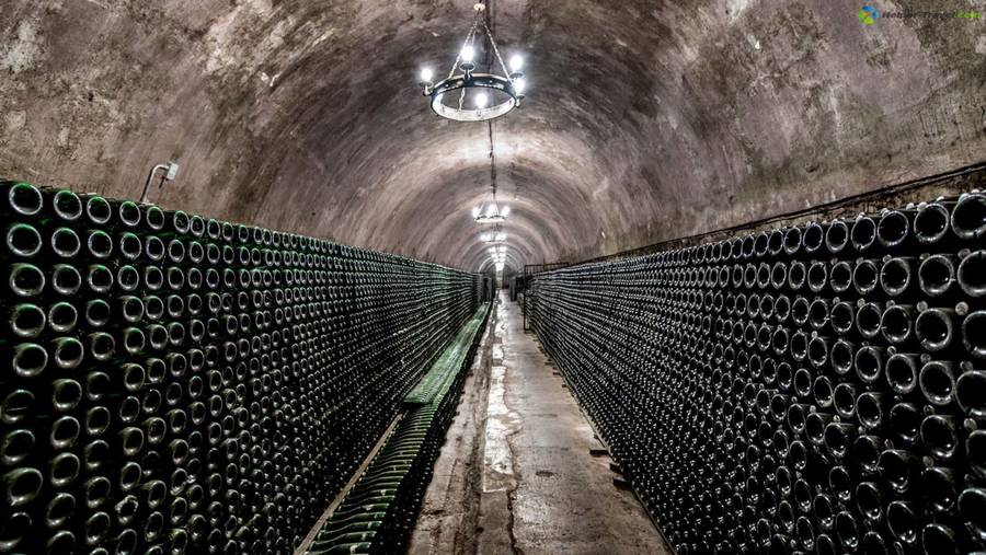 Подвалы завода шампанских вин. Фото: tvil.ru