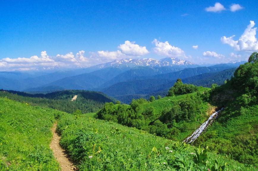 Природа Сочи — главное сокровище курорта. Источник: фотобанк Лори