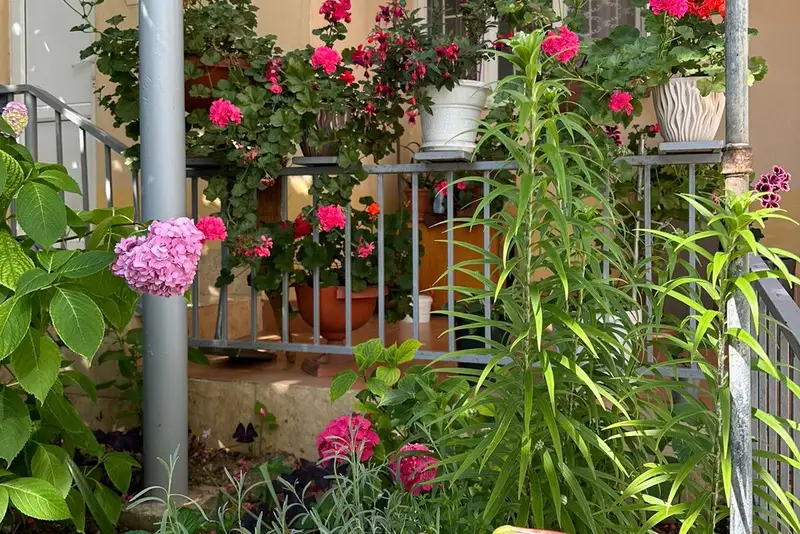 gallery_photo