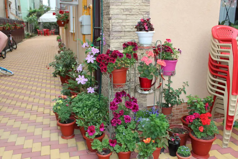 gallery_photo