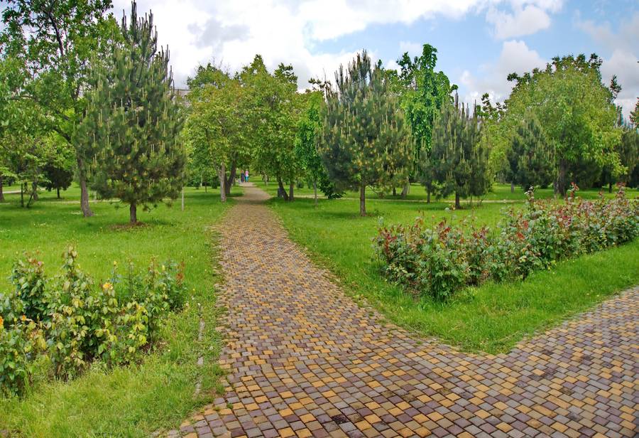 Парк «Ореховая роща» в Анапе. Фото: sunhome.ru