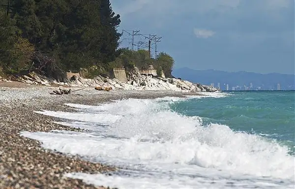 gallery_photo