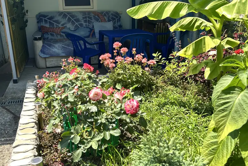 gallery_photo
