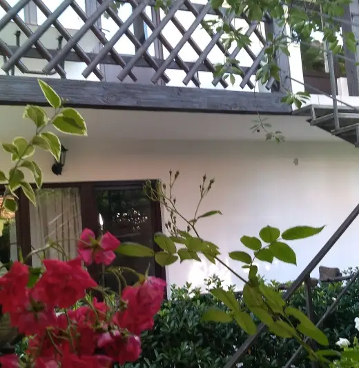gallery_photo