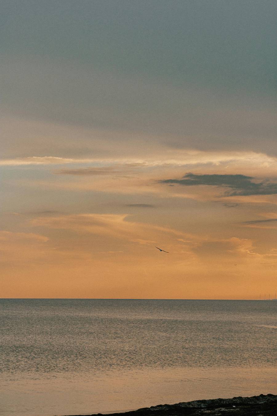 Пляж расположен за пределами Керчи. Источник:&nbsp;pexels.com