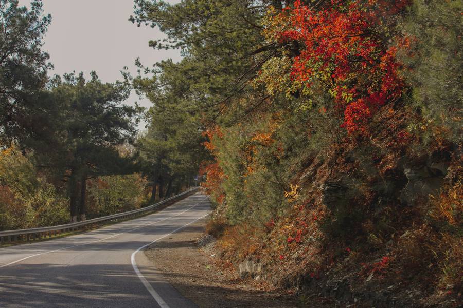 Дорога на Джанхот.&nbsp;Источник: unsplash.com