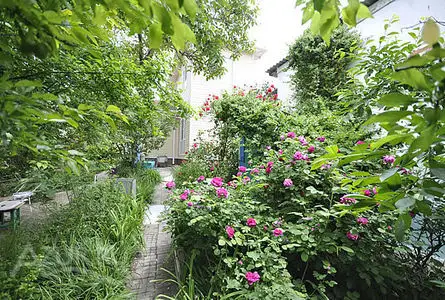 gallery_photo