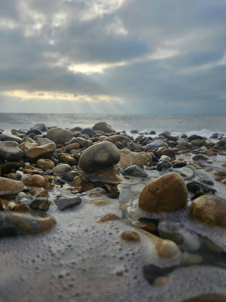 Поселковый пляж покрыт крупной галькой. Источник:&nbsp;unsplash.com