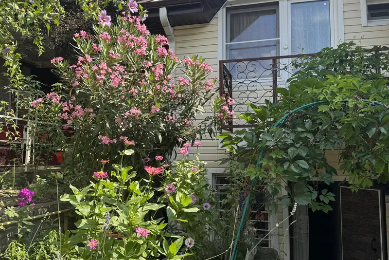 gallery_photo