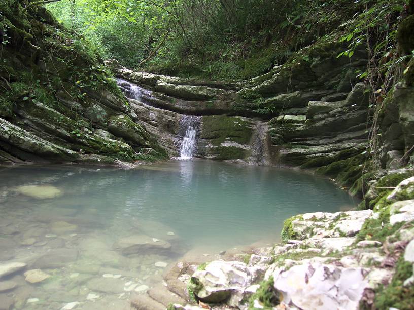 Крабовое ущелье в Лазаревском. Источник: фотобанк Лори