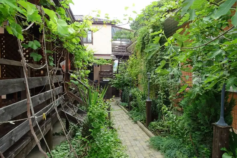 gallery_photo
