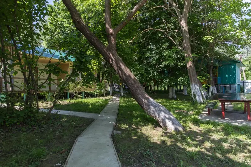 gallery_photo