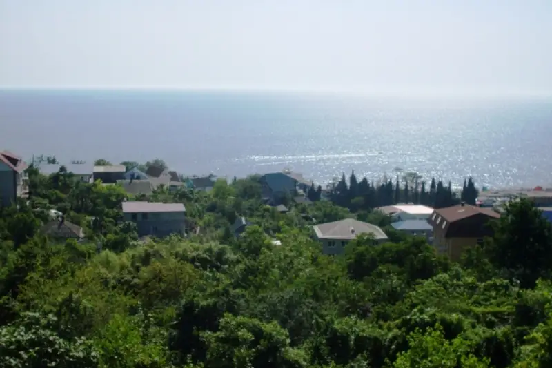 gallery_photo