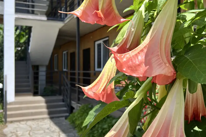 gallery_photo