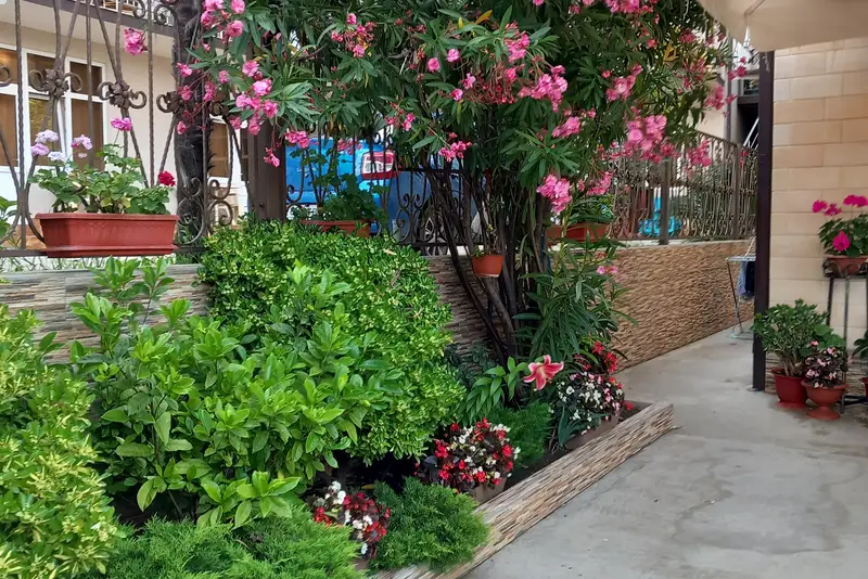 gallery_photo