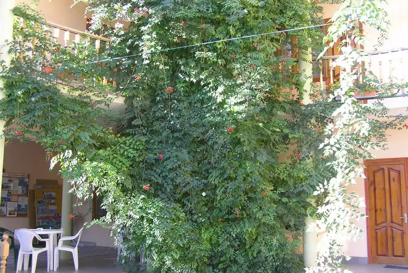 gallery_photo