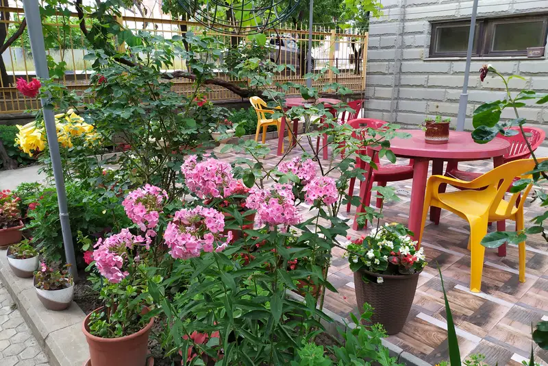 gallery_photo